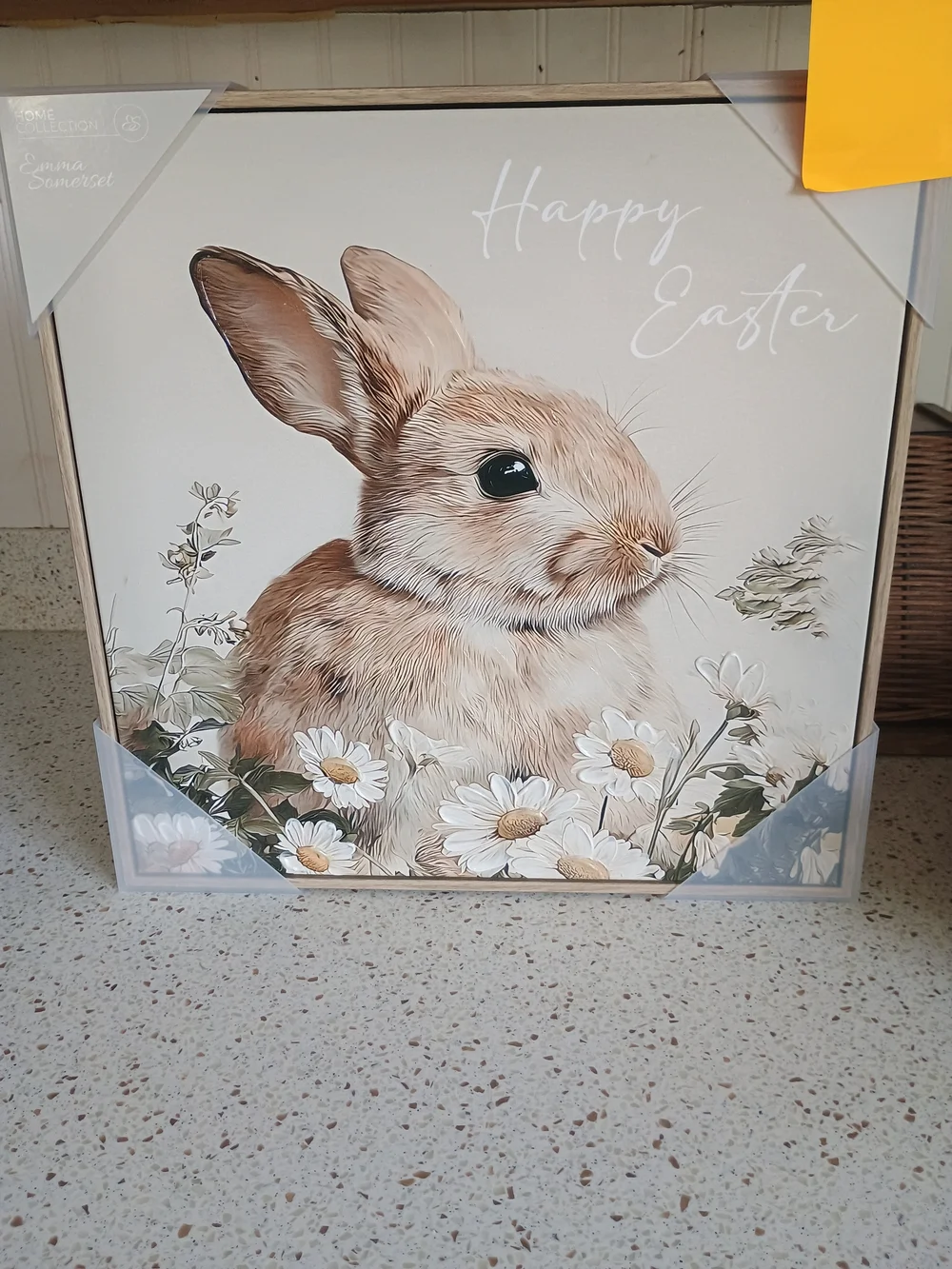 Happy Easter Bunny Framed Canvas Artwork Picture Wall Art NEW 15x15